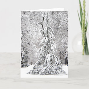 Cartão De Festividades Nenhum Floco De Neve Cai No Lugar Errado.