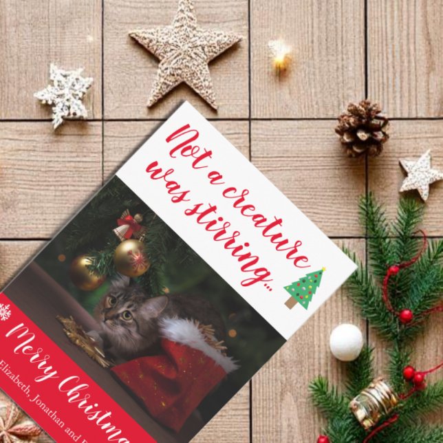 Cartão De Festividades Nenhuma Criatura Estava Atirando Foto De Pet (Criador carregado)