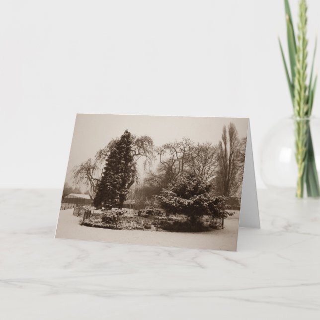 Cartão De Festividades neve de natal no parque foto original (Frente)