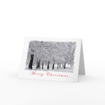 Neve e Árvores Feliz Natal