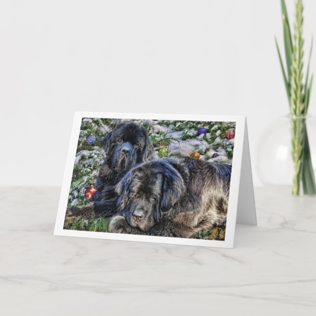 Cartão De Festividades Newfie Holiday Wishes (Frente)