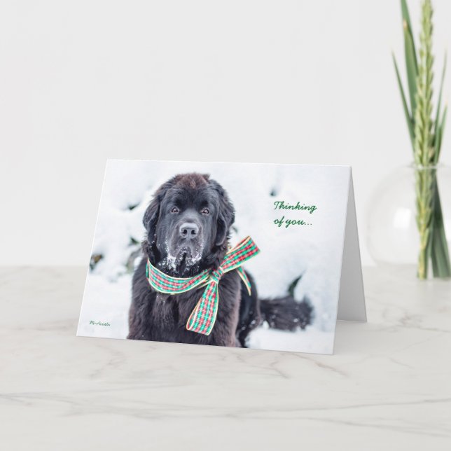 Cartão De Festividades Newfie Holiday Wishes for You (Frente)