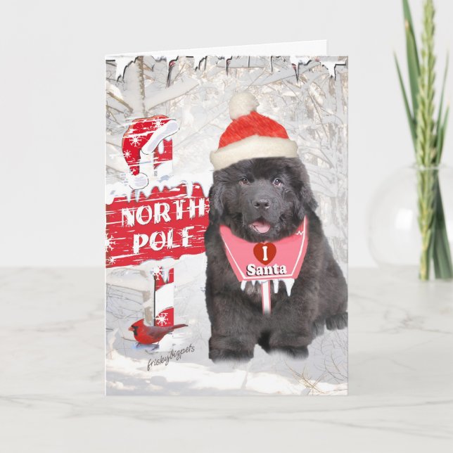 Cartão De Festividades Newfoundland Puppy Loves Santa (Frente)