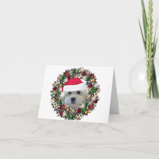 Cartão De Festividades No Natal - Havanese (Frente)