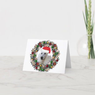 Cartão De Festividades No Natal - Poodle Padrão
