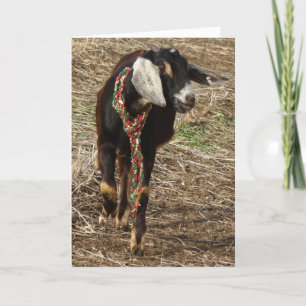 Cartão De Festividades Nobian Goat Kid