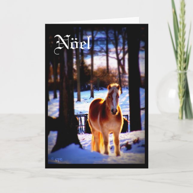 Cartão De Festividades Nöel Holiday Card (Frente)