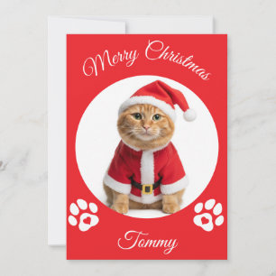 Cartão De Festividades Nome Personalizado e Foto para Gatos de Natal