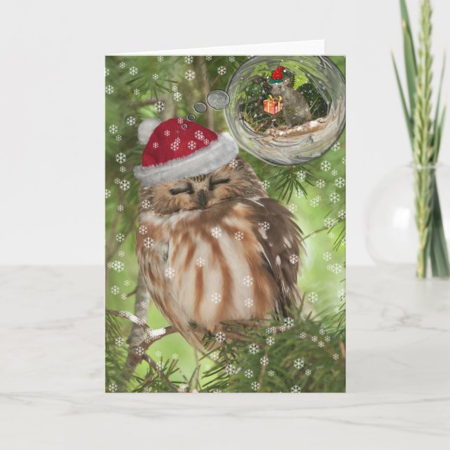 Cartão De Festividades Norte Saw-whet Owl Natal (Frente)