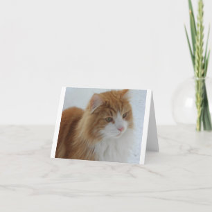 Cartão De Festividades Norueguês_Floresta_Cat