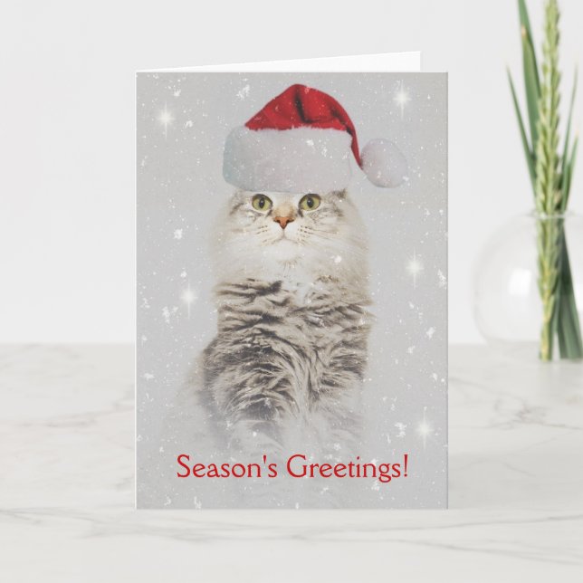Cartão De Festividades Norwegian Forest Cat Christmas Card (Frente)