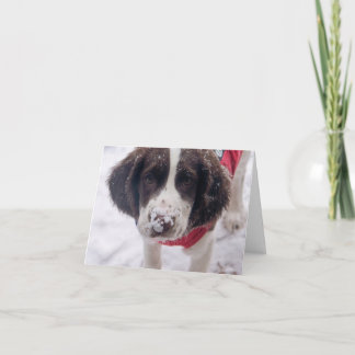 Cartão De Festividades Nose Nose Puppy