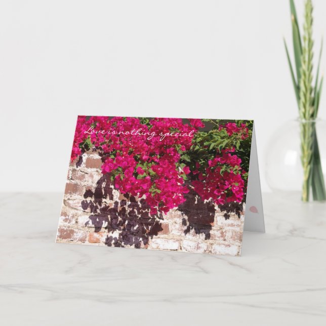 Cartão De Festividades Nothing Special card (Frente)