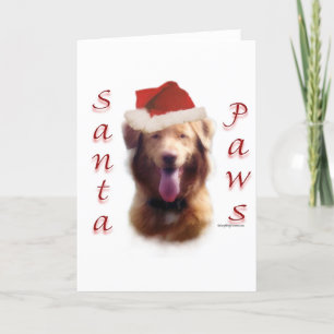 Cartão De Festividades Nova Escócia Duck Tolice Papais noeis do Retriever
