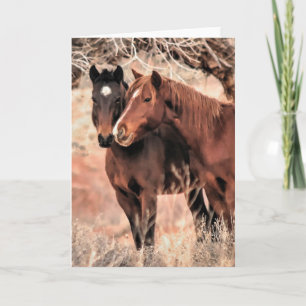 Cartão De Festividades Nuzzling Horses