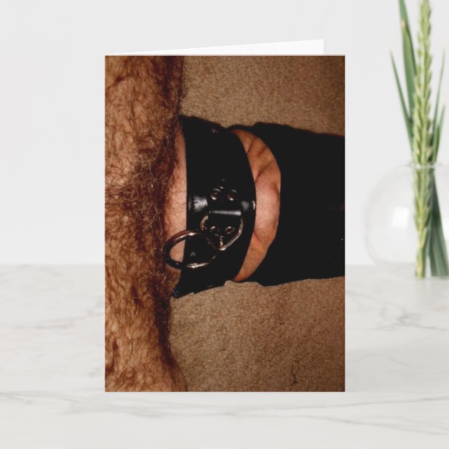 CARTÃO DE FESTIVIDADES NYLONS AND COLLAR (Frente)