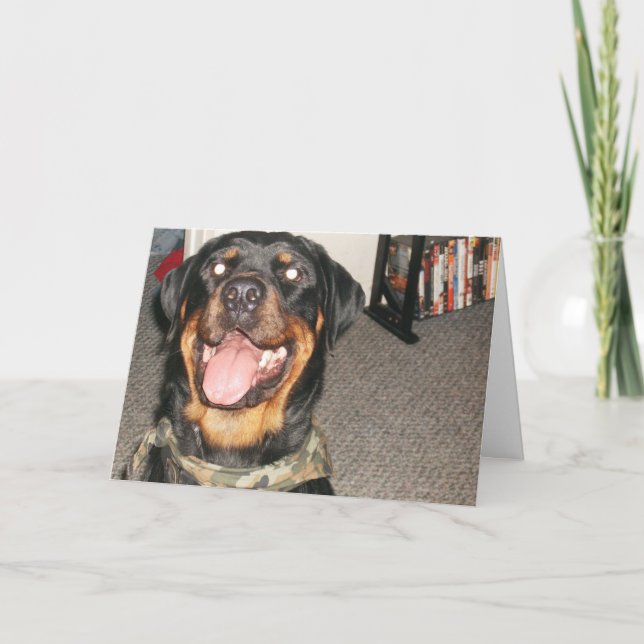 Cartão De Festividades o ano novo 002 (Frente)