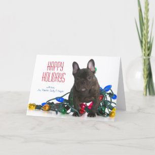 Cartão De Festividades O Buldogue Francês Puppy Tangido Em Luzes
