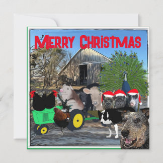 Cartão De Festividades O Cheio de jardim da cozinha