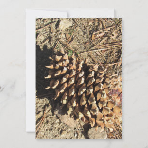 Cartão De Festividades O Coulter Pinecone