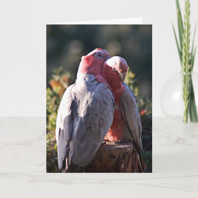 Cartão De Festividades O dia perfeito - Namorados (Frente)