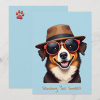 O Dogdad