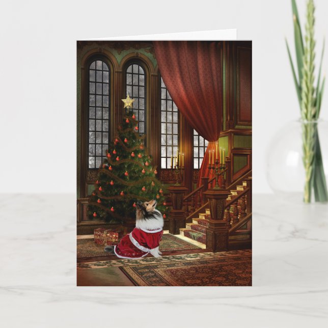 Cartão De Festividades O Natal está aqui! Sheltie (Frente)