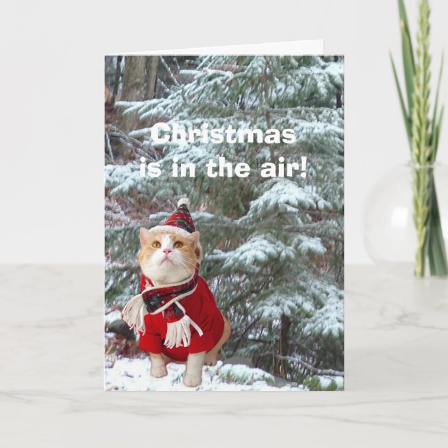 Cartão De Festividades O Natal está no Ar! (Frente)