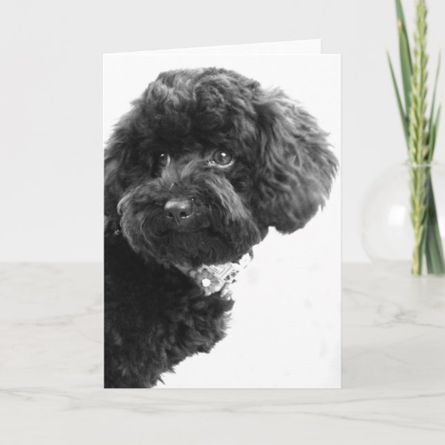 Cartão De Festividades O quê? (Frente)