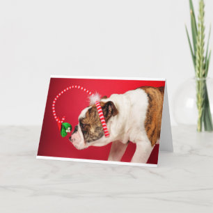 Cartão De Festividades O que é isso?