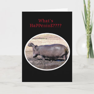 Cartão De Festividades "O que está acontecendo???/HIPPOPOTAMUS ROARING GR