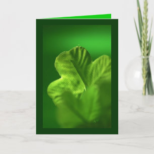 Cartão De Festividades O Trevo Verde -