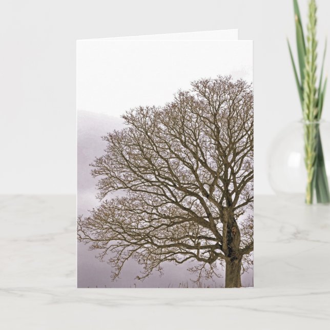 Cartão De Festividades Oak in Winter 1 (Frente)