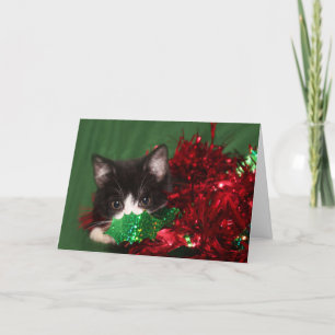 Cartão De Festividades Observando Papais noeis