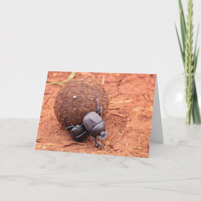 Cartão De Festividades Ocorre estrume (Frente)