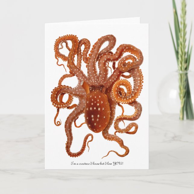 Cartão De Festividades Octopus with fun message for Valentine's Day (Frente)