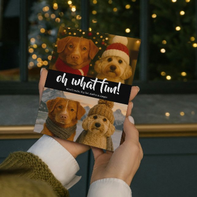 Cartão De Festividades Oh Que Foto Divertida de Natal Personalizada (Oh What Fun Photo Christmas Personalized Holiday Card by Ricaso. Christmas light pattern on back)