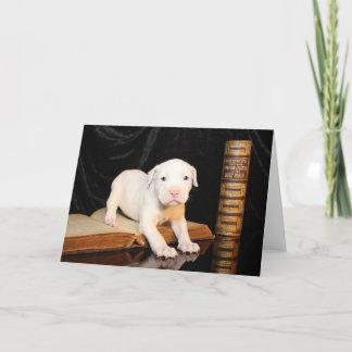 Cartão De Festividades Old Bible, New Puppy