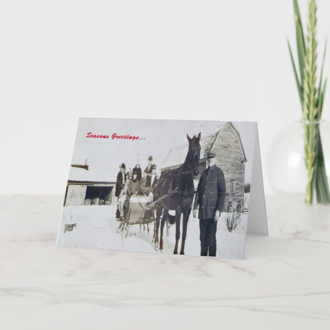 Cartão De Festividades One "Mule" Open Sleigh (Frente)