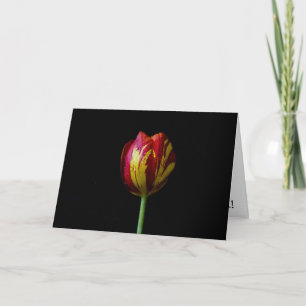 Cartão De Festividades One Tulip - Card