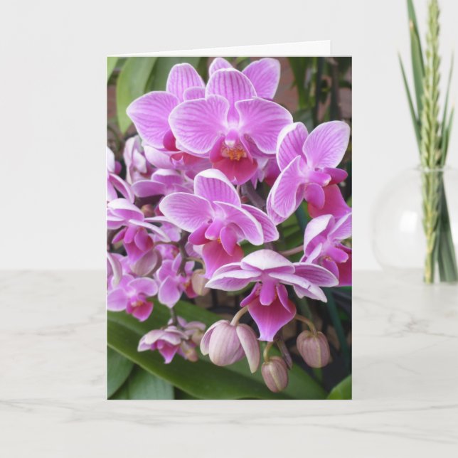 Cartão De Festividades Orquídeas (Frente)
