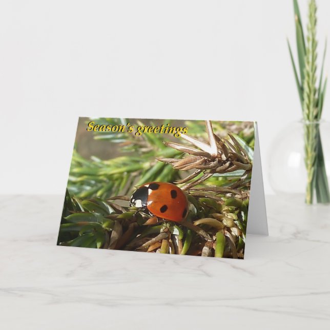 Cartão De Festividades Os cumprimentos da estação (Frente)