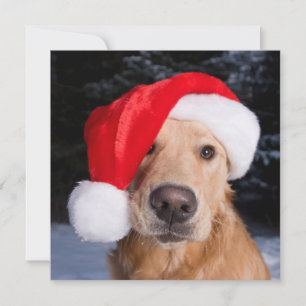 Cartão De Festividades Ouro em Santa Hat