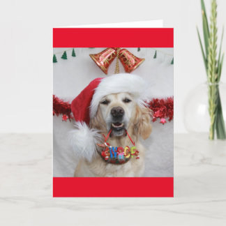 Cartão De Festividades Ouro Festivo Retriever segurando "Woof" de Natal