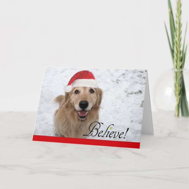 Cartão De Festividades Ouro Retriever Acredite no Natal (Frente)