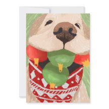 Ouro Retriever Natal Balls Muito Engraçado