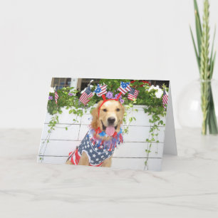Cartão De Festividades Ouro Retriever Starry 4 de julho