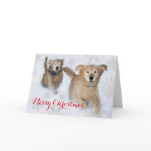 Ouro Retrievers Dashing Através do Natal da Neve