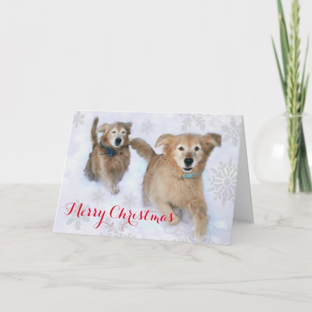Cartão De Festividades Ouro Retrievers Dashing Através do Natal da Neve (Frente)