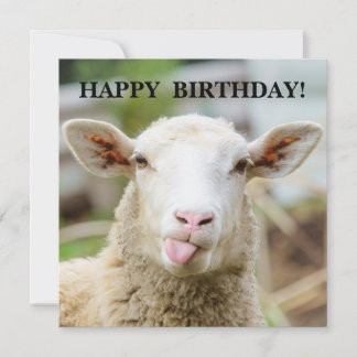 Cartão De Festividades Ovelha mostra a língua